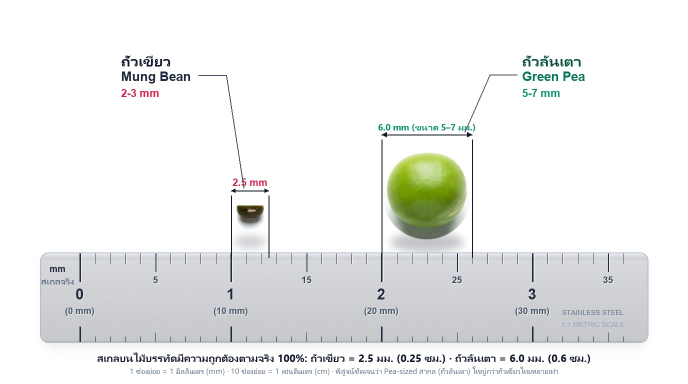 ทายารักษาสิวขนาดเท่าเมล็ดถั่วเขียวจะทาทั่วหน้าได้ยังไง? ไขข้อข้องใจ Pea-sized